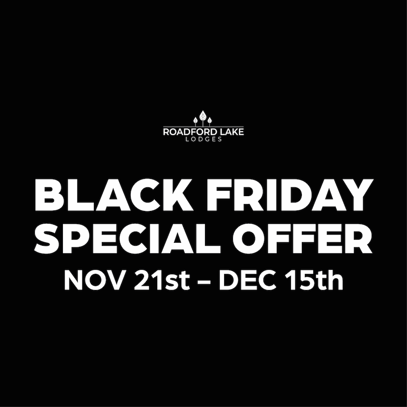 Black Friday Special Offer