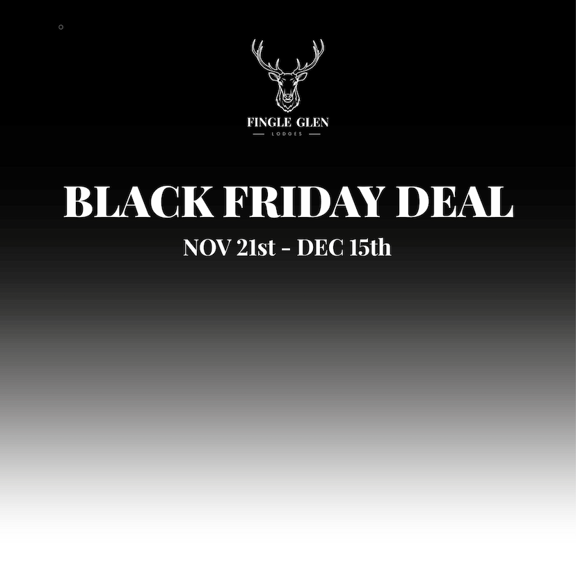 Black Friday Special Offer 